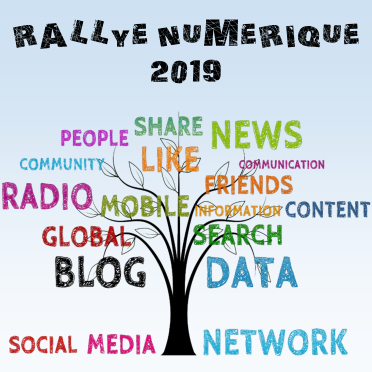 Rallye Numerique 2019